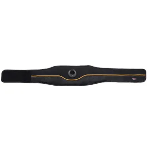 Abdomen Belt, Smart EMS Home Appliance