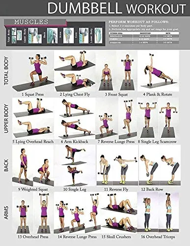 Bodyfit Dumbbells 3 Kg   2 Kg Combo Set for Home Gym Exercise, Fitness and Weights for Women and Men Dumbbells Pair