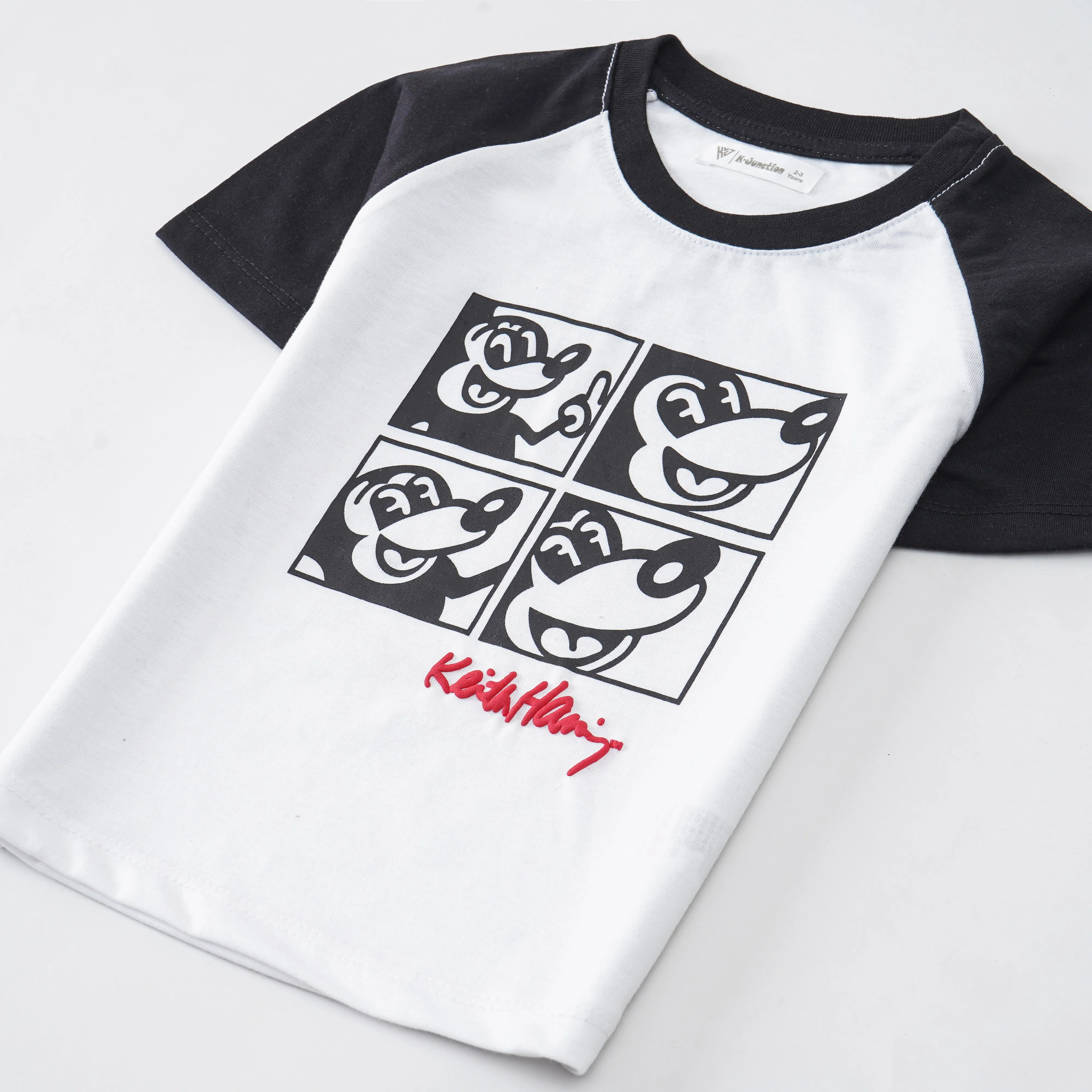Boys Half Sleeves-Printed T-Shirt