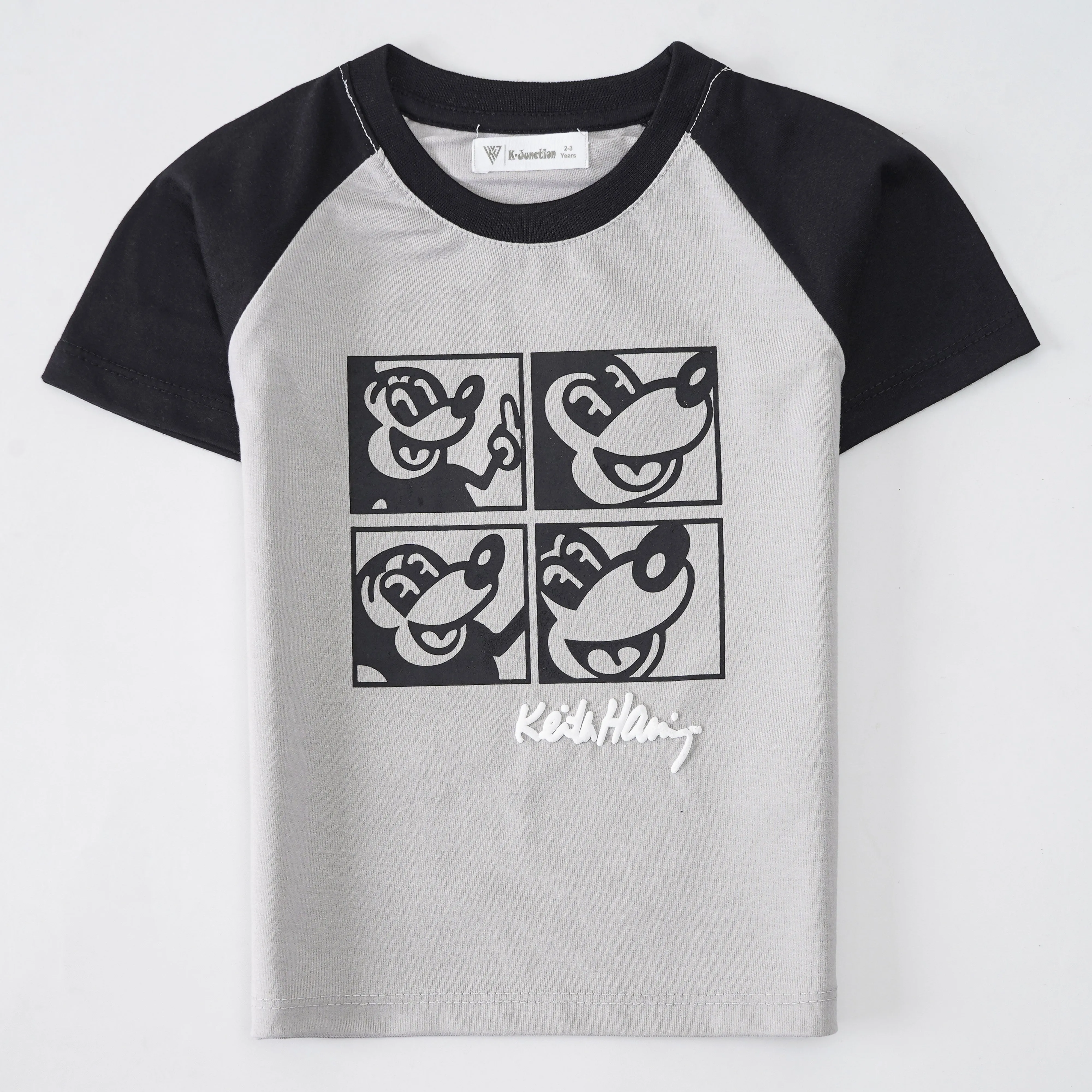 Boys Half Sleeves-Printed T-Shirt