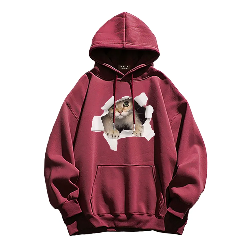 Broken Wall Cat Print Hoodie