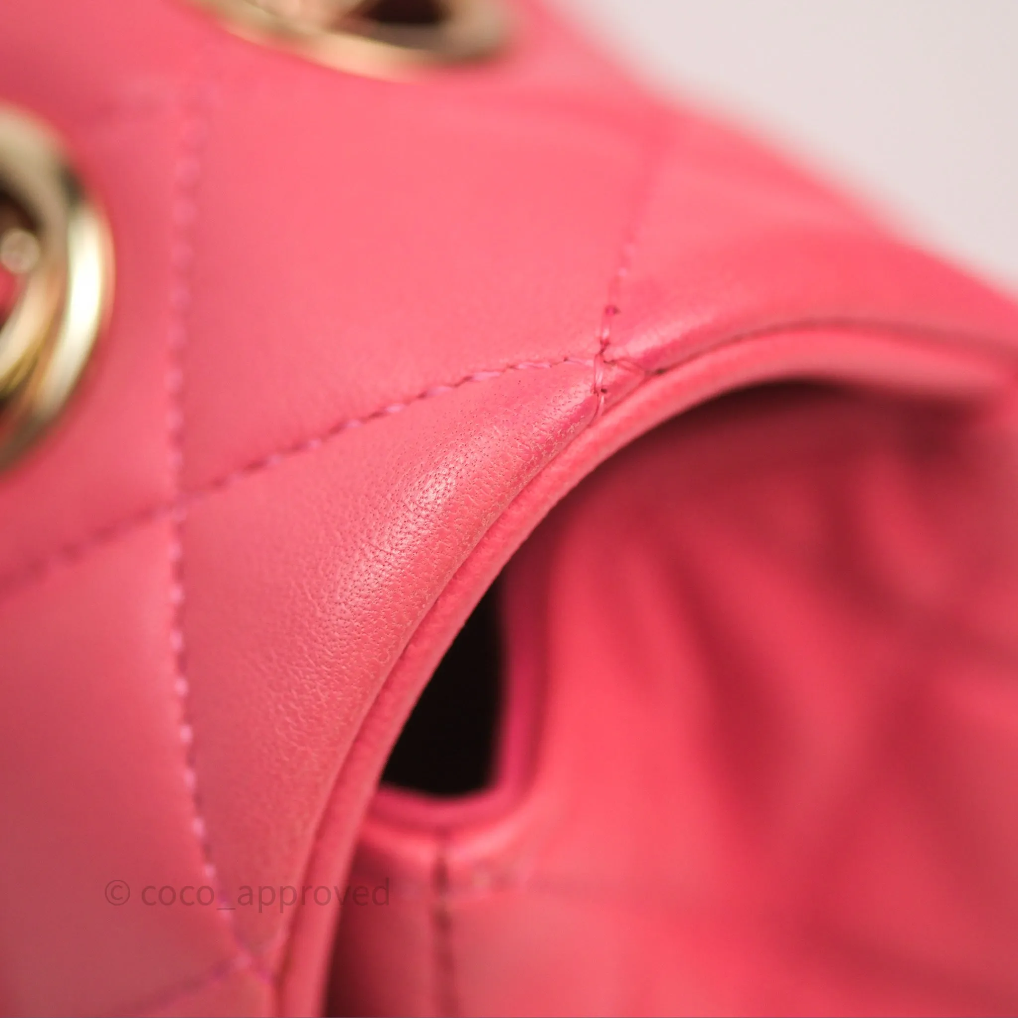 Chanel M/L Medium Flap Bag Valentine Limited Edition Pink Lambskin Gold Hardware