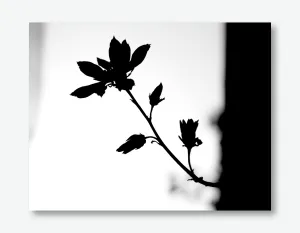 Elegant Silhouette of Serenity Wall Art Poster