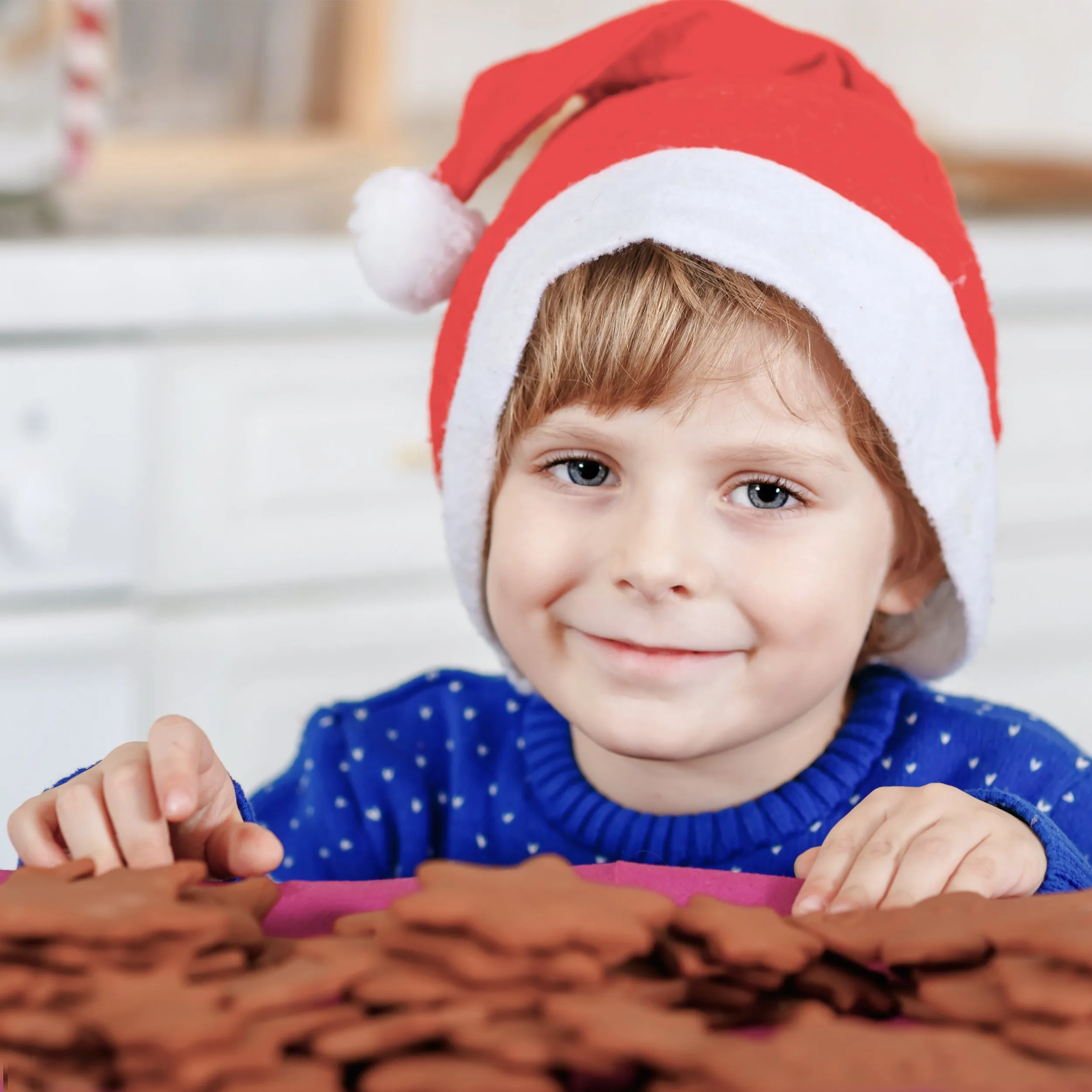 Festive Santa Hats