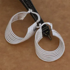 High-end fashion temperament earrings