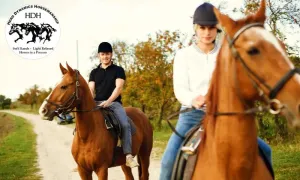 Horse trail experience