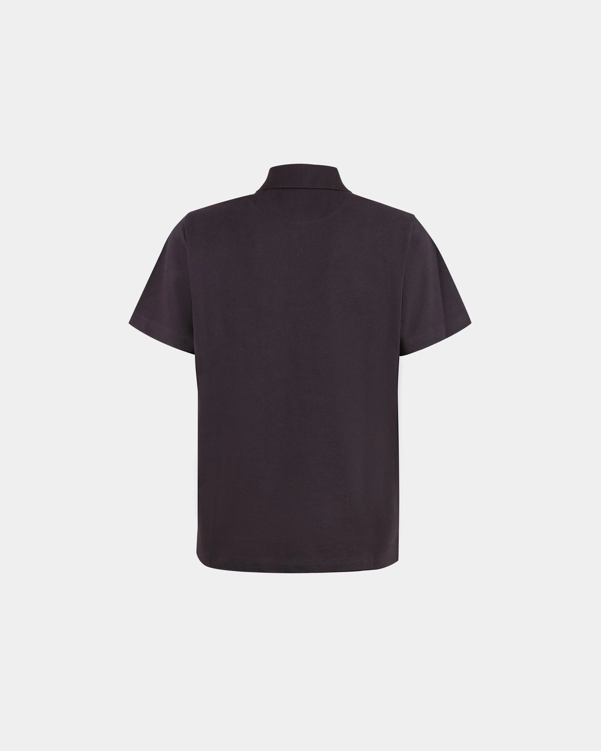 M5BAB67F - Polo