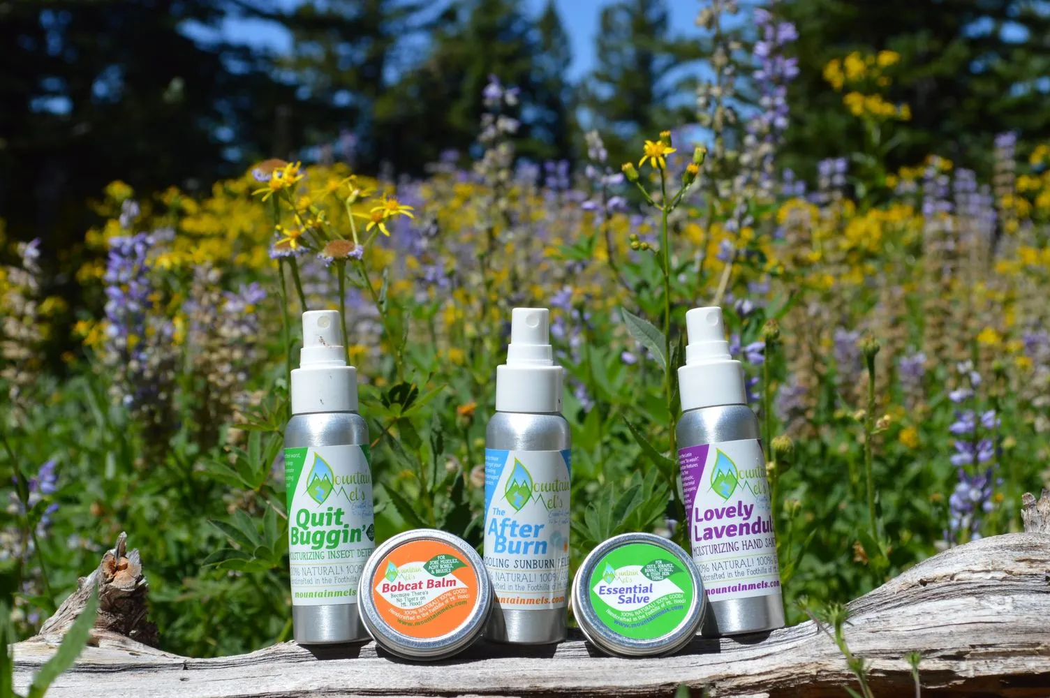 Outdoor Essentials Kit: Natural First Aid For Your Epic Adventures