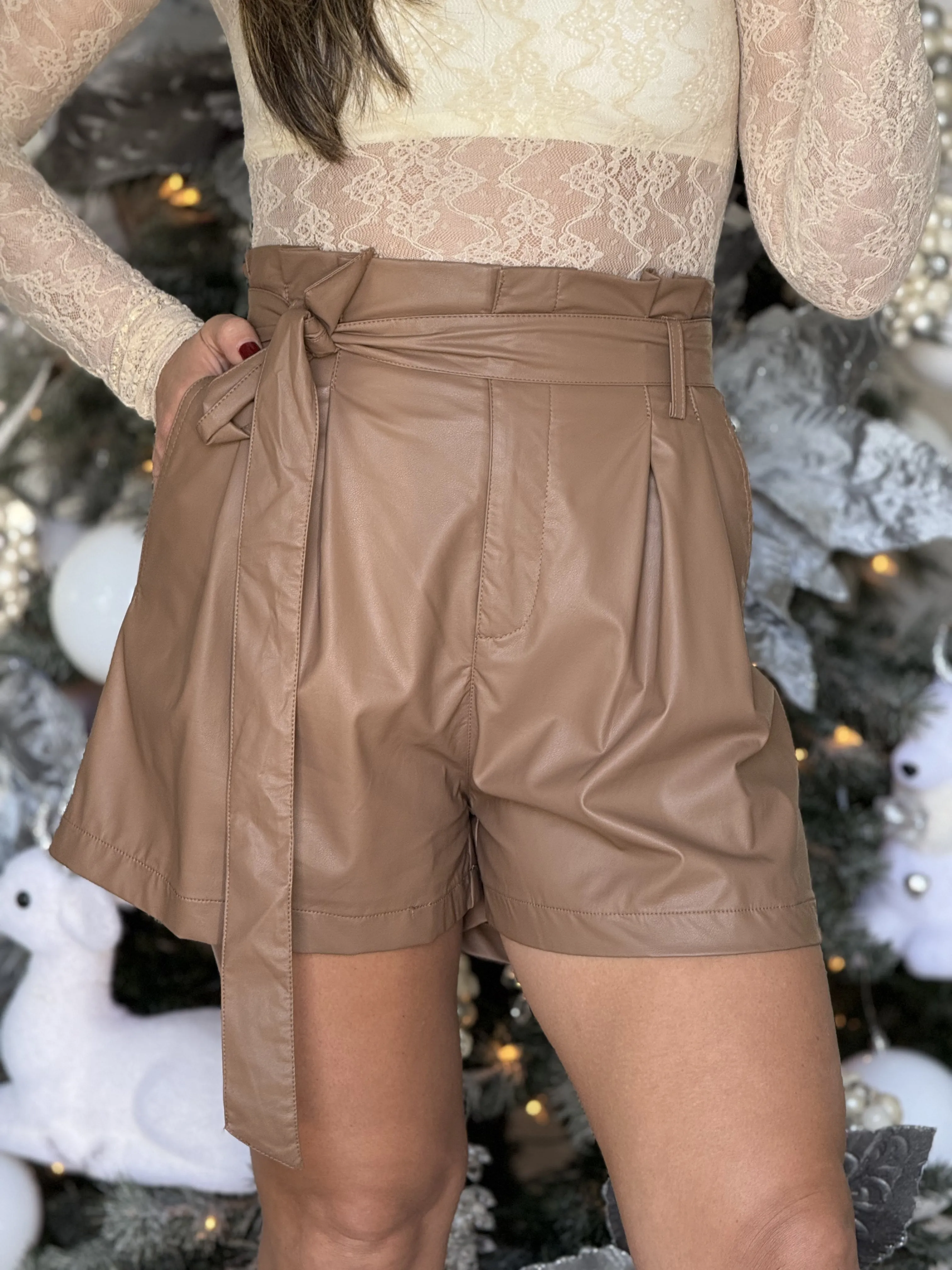"Nicole" Faux Leather High Waisted Shorts