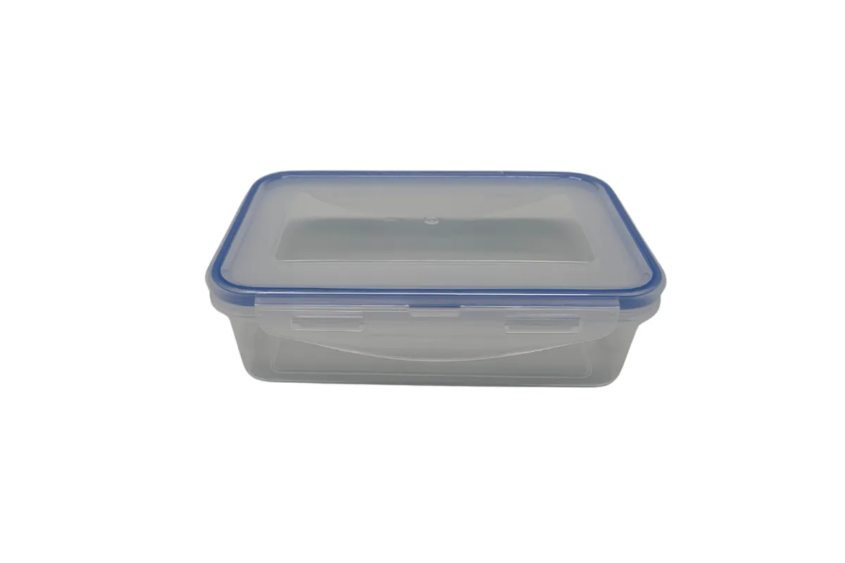 Rectangle Plastic Transparent Lunch Box