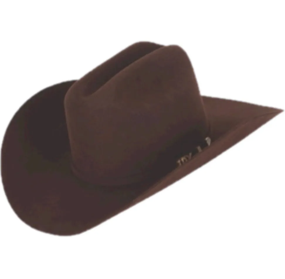 Serratelli Hat Company 10x Beaver Felt Cowboy Hat