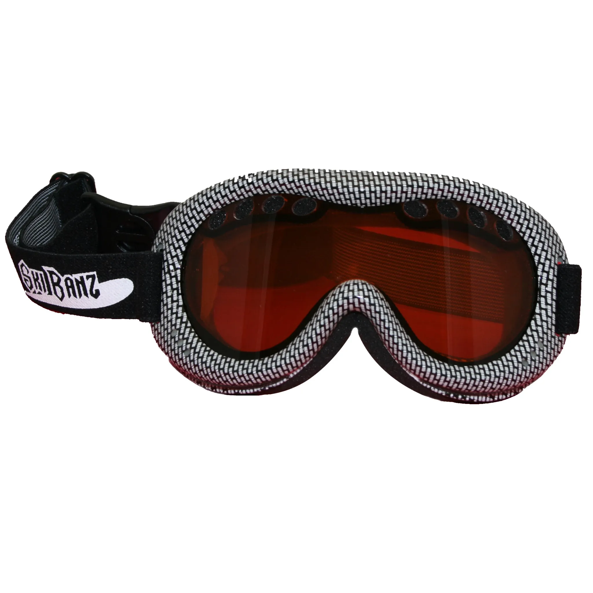 Ski Goggles