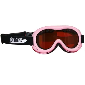 Ski Goggles