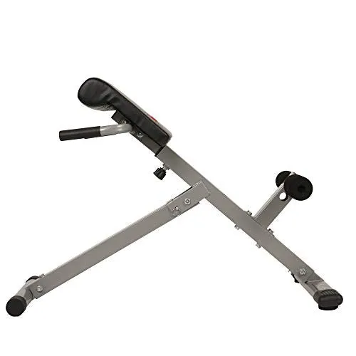 Sunny Health & Fitness SF-BH6629 45 Degree Hyperextension Roman Chair