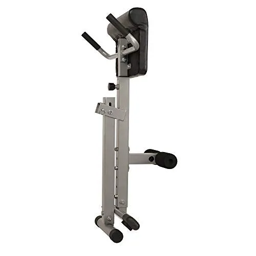 Sunny Health & Fitness SF-BH6629 45 Degree Hyperextension Roman Chair