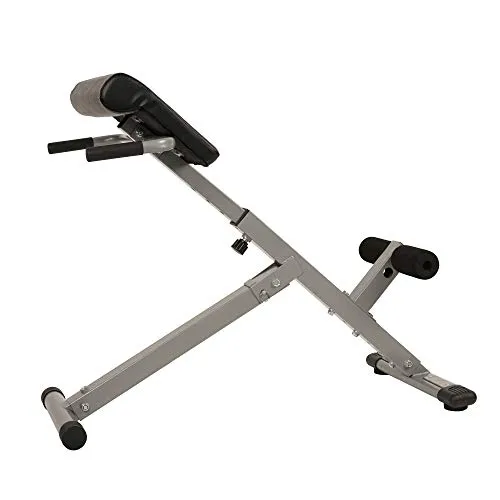 Sunny Health & Fitness SF-BH6629 45 Degree Hyperextension Roman Chair