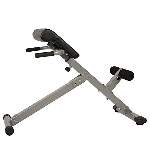 Sunny Health & Fitness SF-BH6629 45 Degree Hyperextension Roman Chair