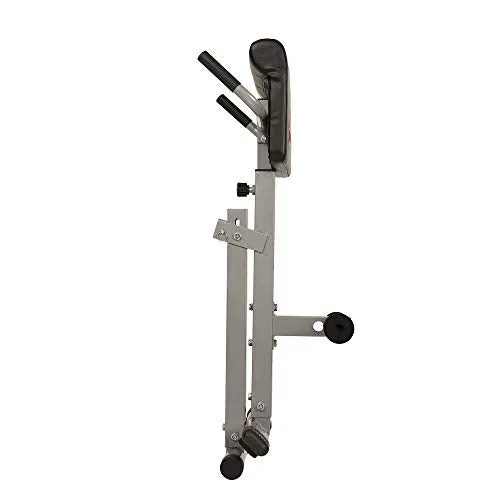 Sunny Health & Fitness SF-BH6629 45 Degree Hyperextension Roman Chair