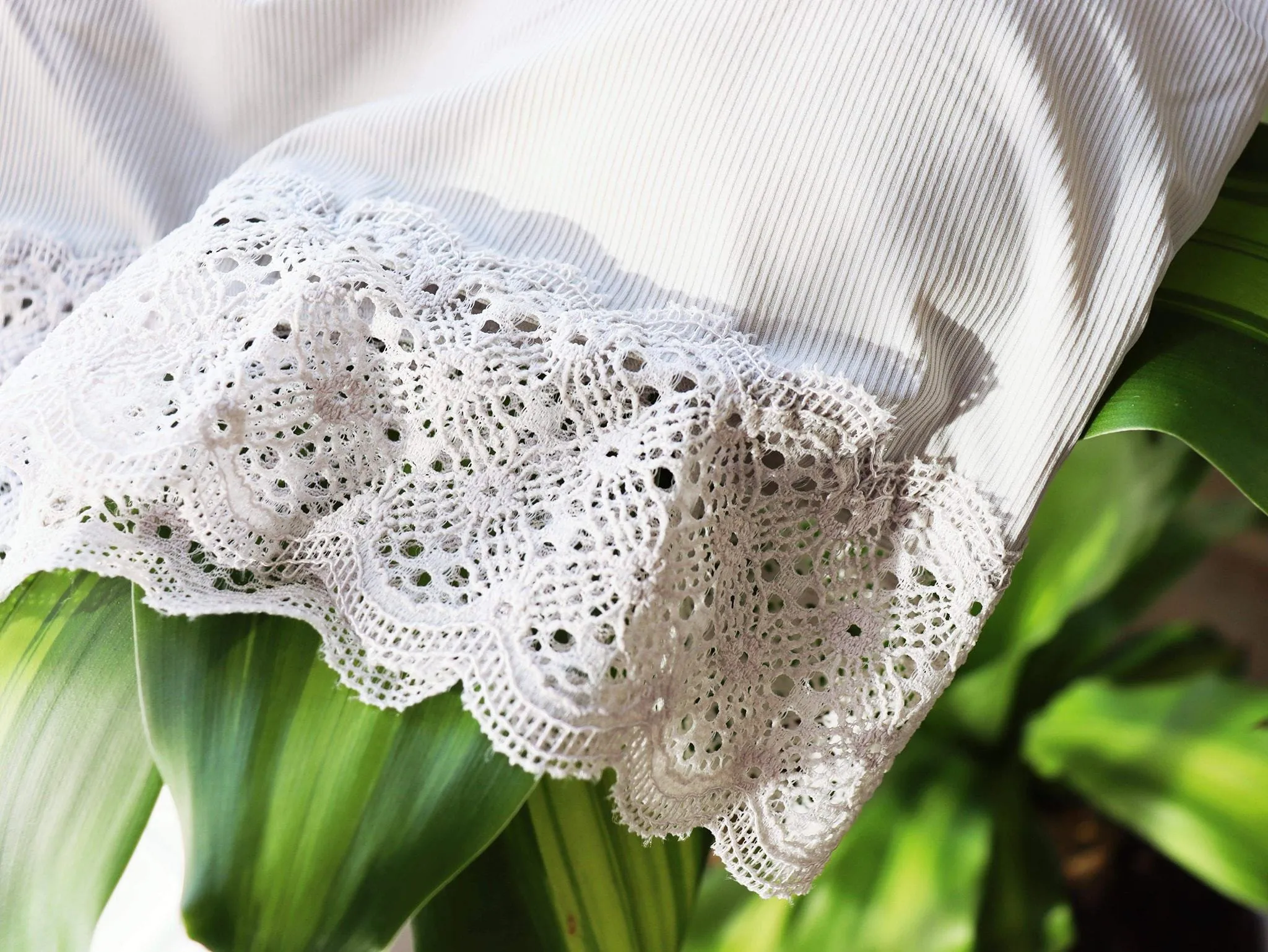The Willow Lace Bralette -- 2 Colors!