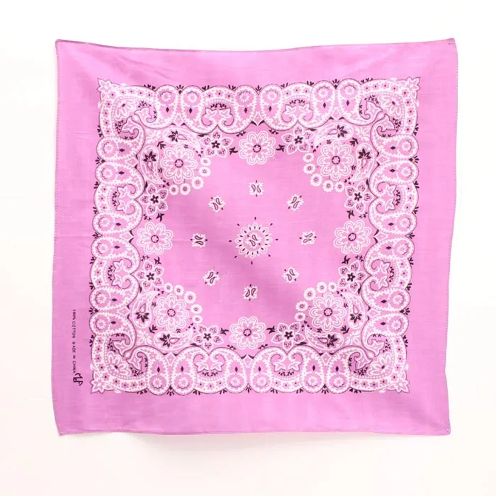 Western Express Traditional Standard Size Paisley Bandana