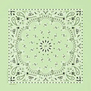 Western Express Traditional Standard Size Paisley Bandana