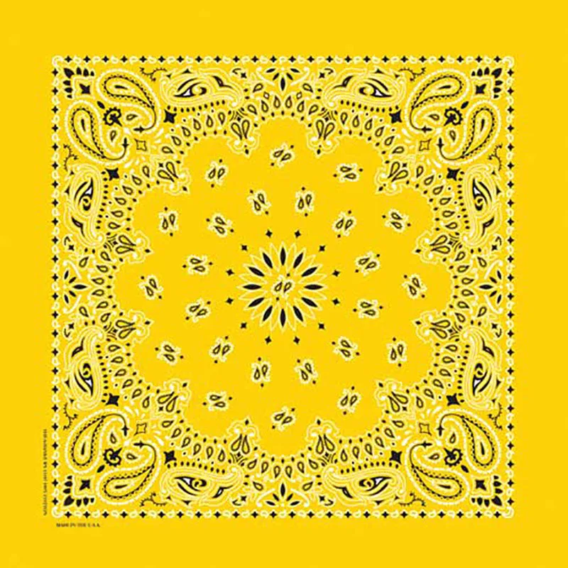 Western Express Traditional Standard Size Paisley Bandana
