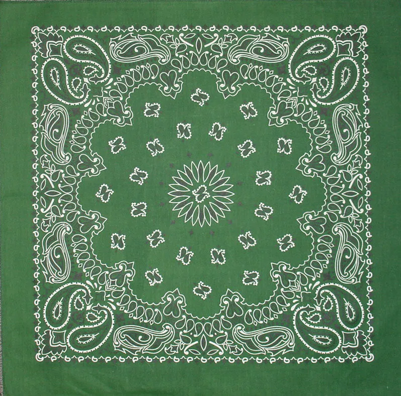 Western Express Traditional Standard Size Paisley Bandana