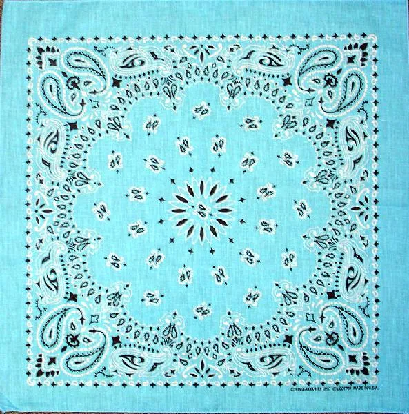 Western Express Traditional Standard Size Paisley Bandana