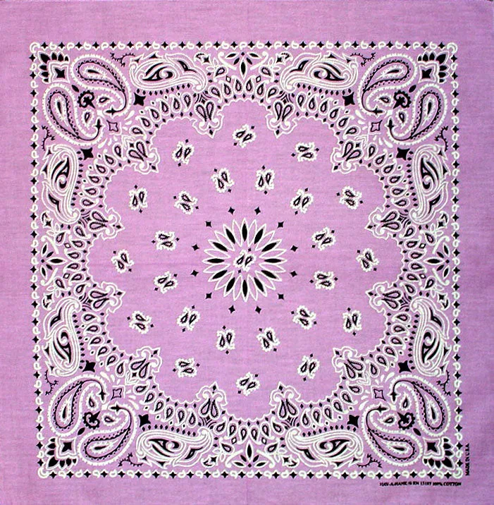 Western Express Traditional Standard Size Paisley Bandana