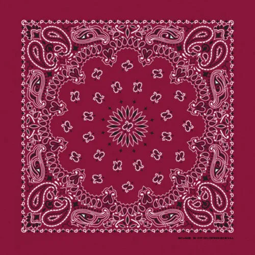 Western Express Traditional Standard Size Paisley Bandana