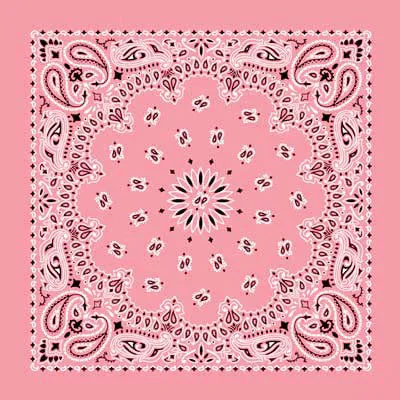 Western Express Traditional Standard Size Paisley Bandana