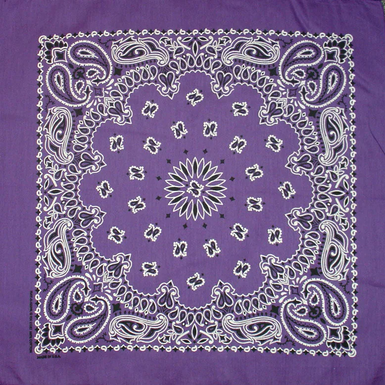 Western Express Traditional Standard Size Paisley Bandana