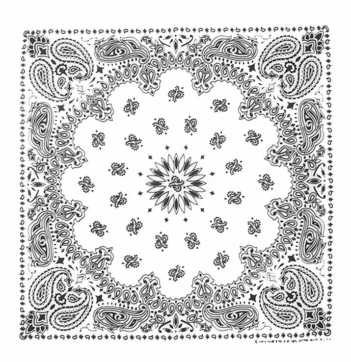 Western Express Traditional Standard Size Paisley Bandana