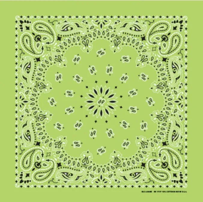 Western Express Traditional Standard Size Paisley Bandana