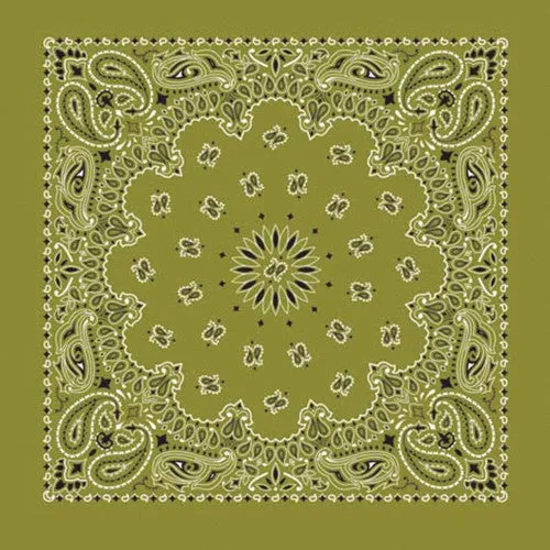 Western Express Traditional Standard Size Paisley Bandana