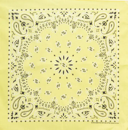Western Express Traditional Standard Size Paisley Bandana