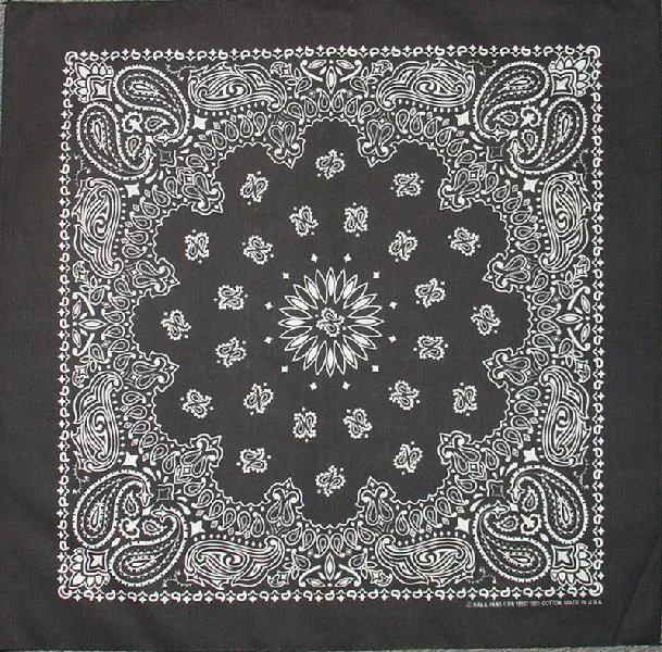 Western Express Traditional Standard Size Paisley Bandana