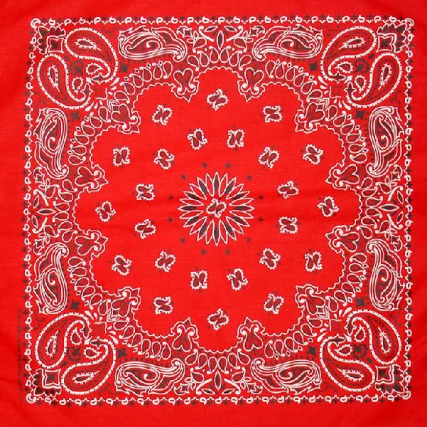 Western Express Traditional Standard Size Paisley Bandana
