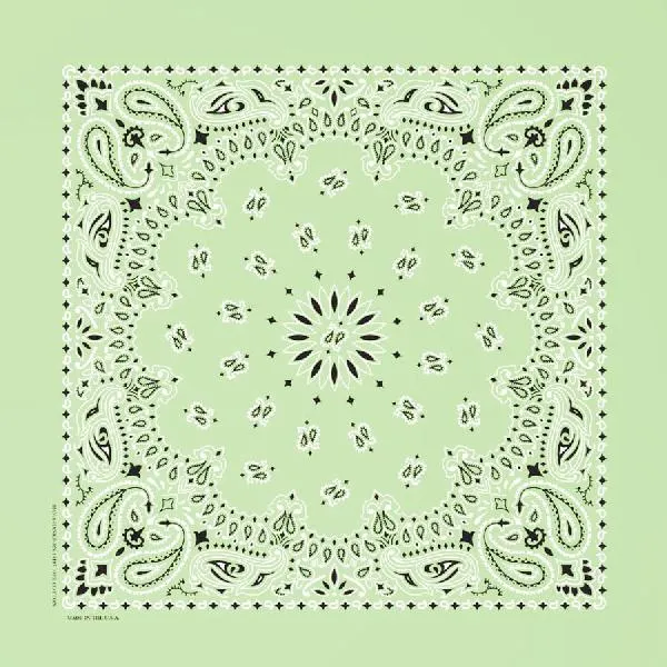 Western Express Traditional Standard Size Paisley Bandana